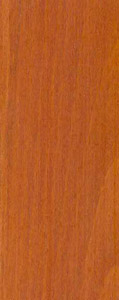 B�kk-teak biztons�gi ajt�